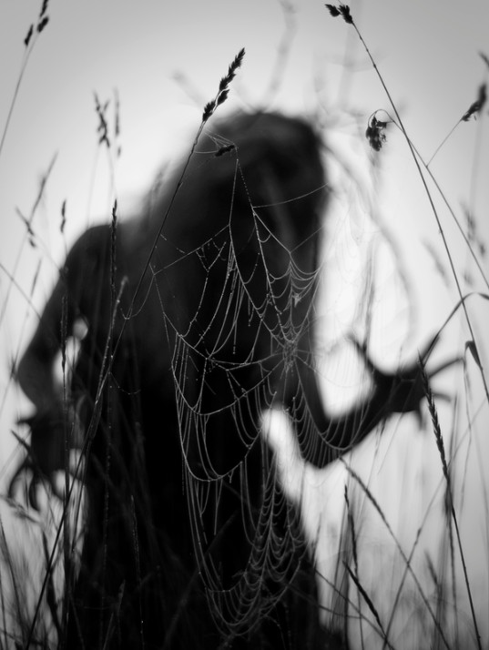 Призрак в поле. Автор: Любовь Коршунова