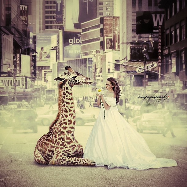 Девушка с жирафом в городе. Фотоколлажи Lovepaperplane 