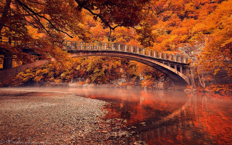 Мост в осеннем лесу. Фото: Kate Eleanor R.