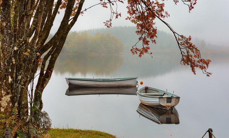 Лодки, осеннее утро и туман. Фото: Karl Williams