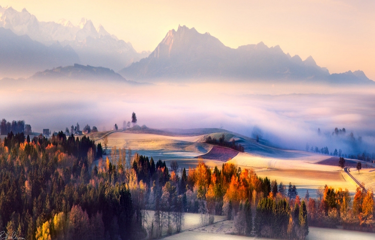 Осенний лес, тума и горы. Фото: Robin Halioua