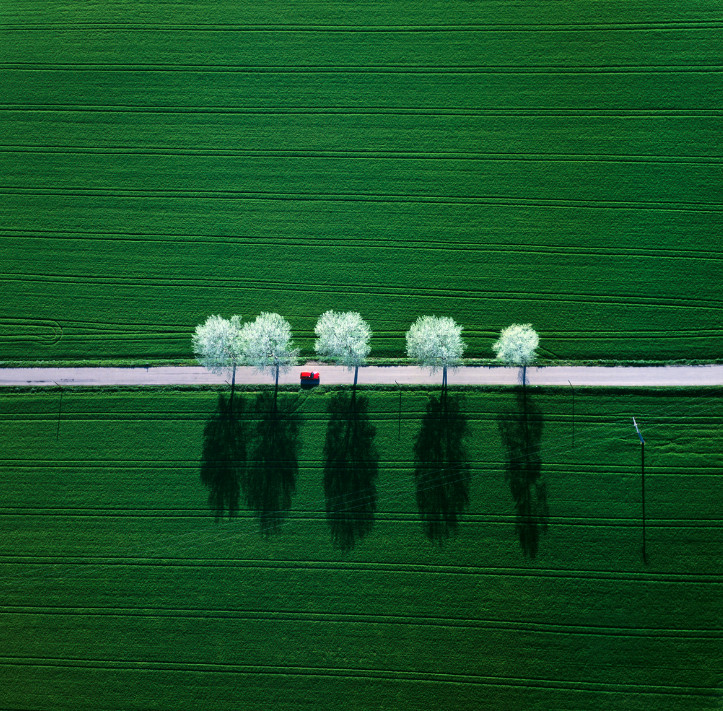 Зеленые поля. Фото: Klaus Leidorf