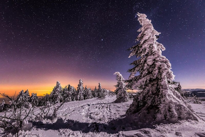 Зимняя ночь, лес. Фото:  Joris Kiredjian