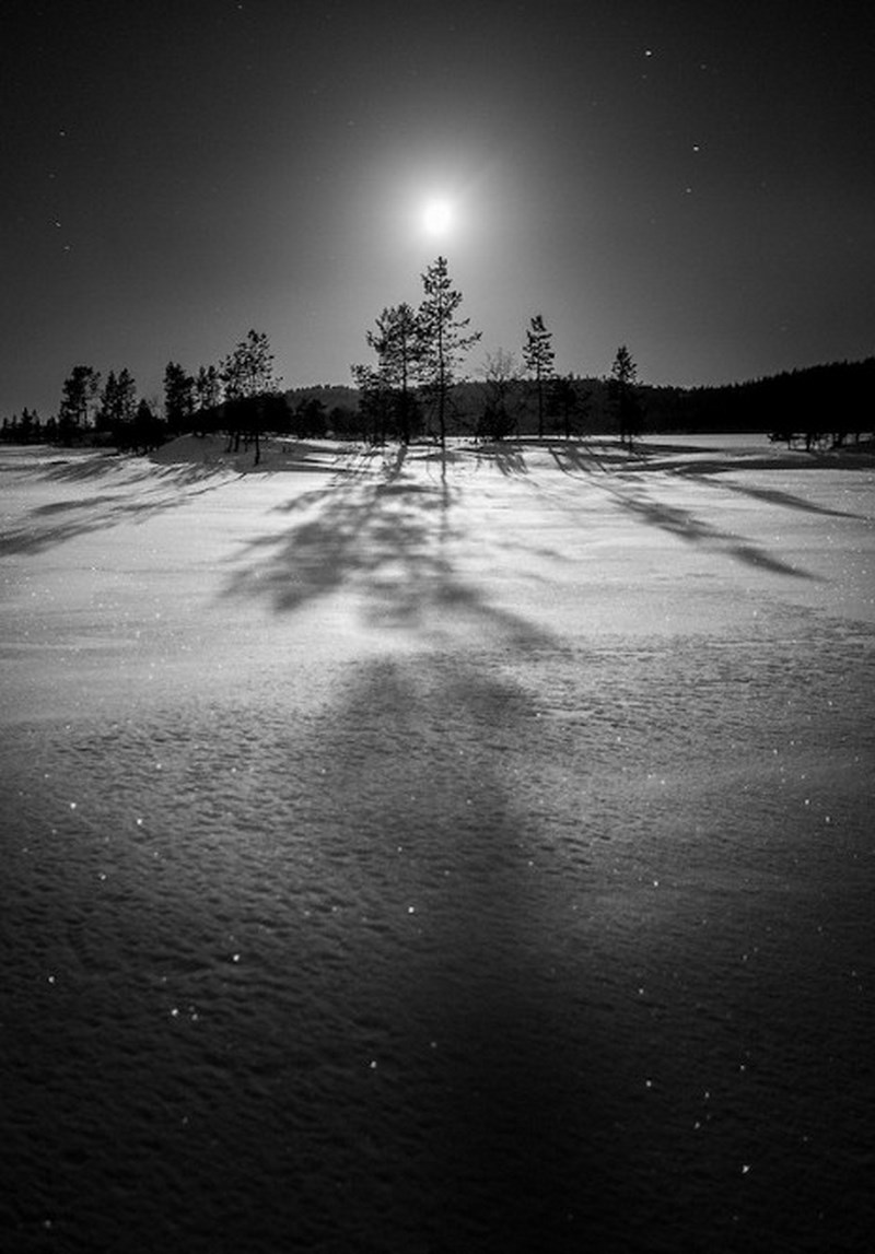 Зима. Фото: Julien Fumard