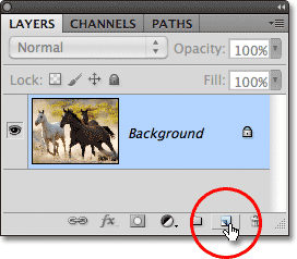 Удерживая Alt (Win) / Option (Mac), нажмите на иконку New Layer