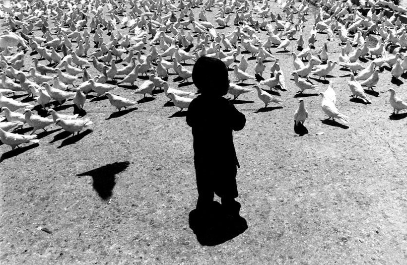 «Голуби в Мазари Шериф», Афганистан. 1986