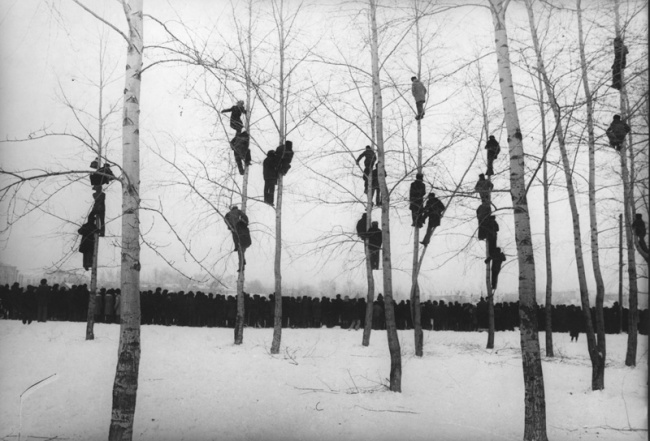 «Грачи прилетели», 1964 год. Фото: Микола Гнисюк