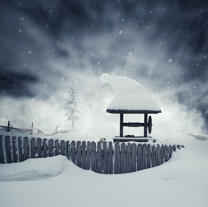 Снег, зима. Фото: Карас Йонут