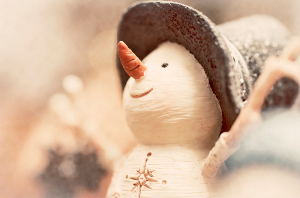 Снеговик. Фото: Kim McDonald