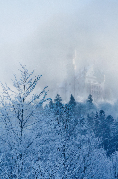 Туман и замок. Фото: Chris Knight