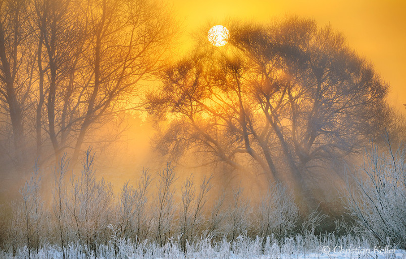 Туманное зимнее утро. Фото: C Keller