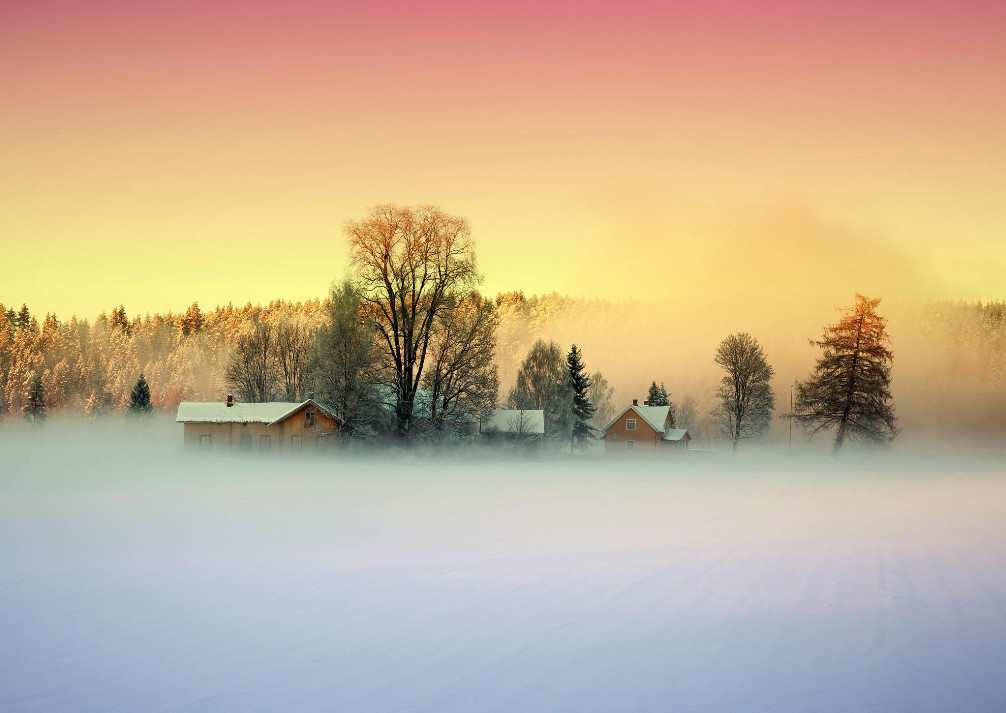 Туман зимой. Фото: Thomas Berger