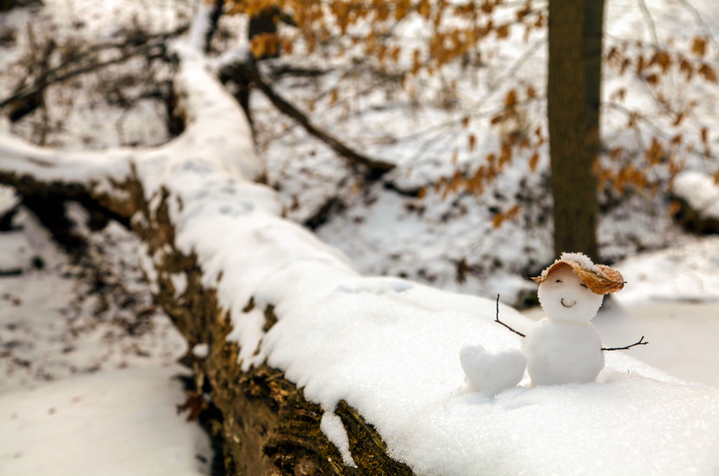 Снеговик. Фото: Kristy Yang