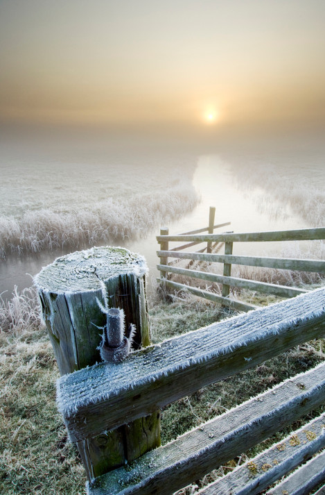 Зимний туман и иней. Фото: Robert Canis