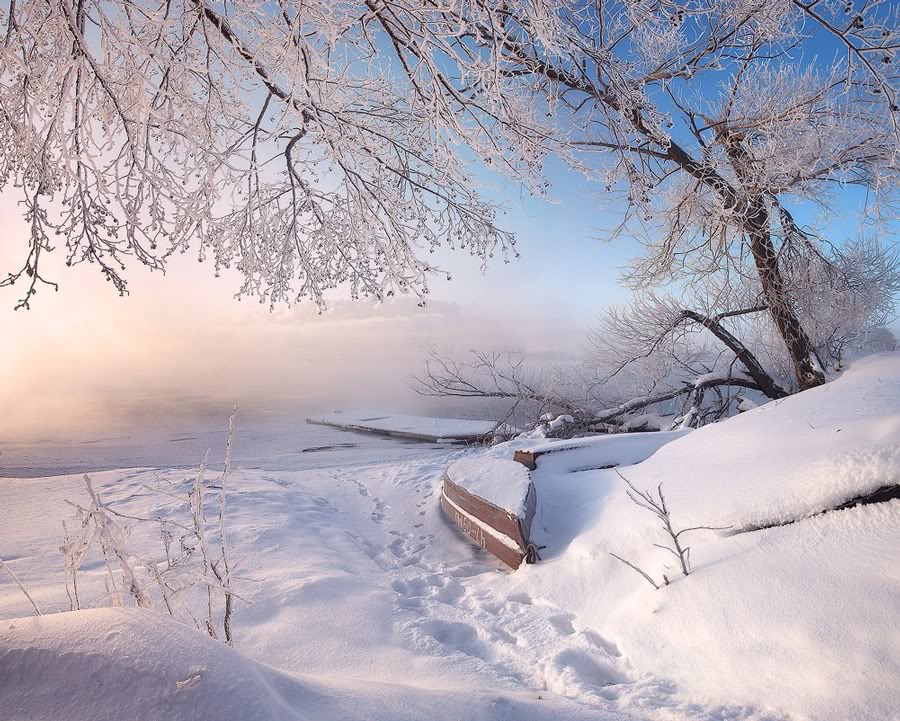 Зимний пейзаж у озера Шатура