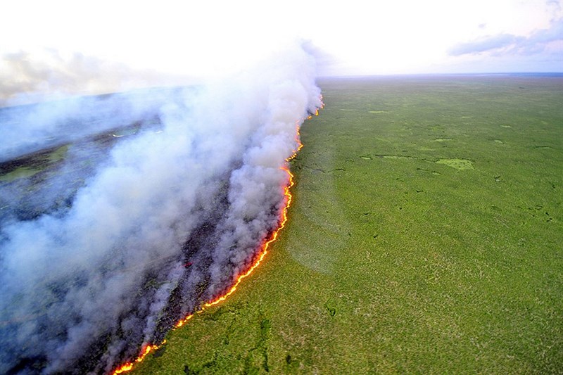Полоса огня. Лесные пожары выжгли часть заповедника в Бразилии. 