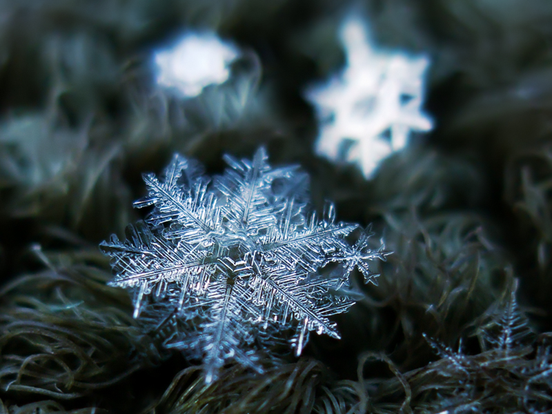 Макросъемка снежинок. Фото Алексея Клятова