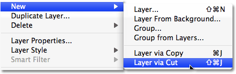 Открываем Layer > New > Layer via Cut