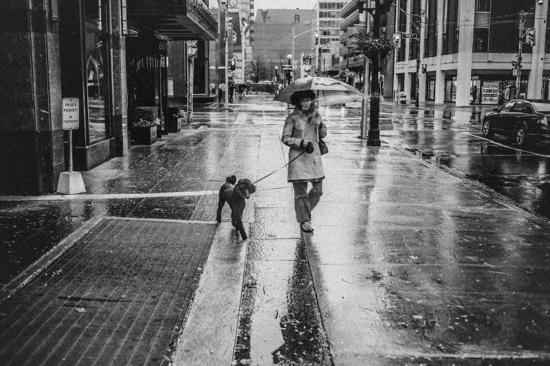Дождь. Стрит фотография Никиты Ступина