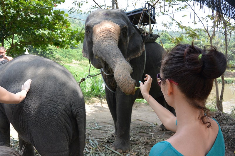 Кормление слонов.  Тестовая фотография Nikon 1 AW1