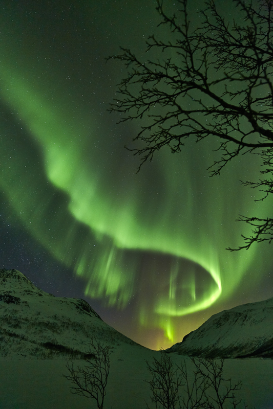Северное сияние в Норвегии. Фото Geir Ytterstad