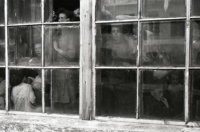 Еврейские, польские и украинские женщины и дети, запертые в теплице в ожидании своей участи. Они были расстреляны немцами на следующий день. Всего в конце августа 1941 у Дома Красной Армии Новоград-Волынска было расстреляно 700 мирных жителей, включая женщин и детей. 