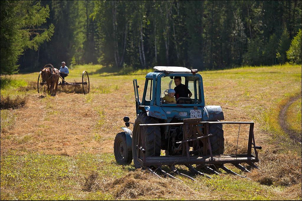 На полях староверы еще пользуются архаичными приспособлениями, но есть уже и современные тракторы. Верхний Шивей