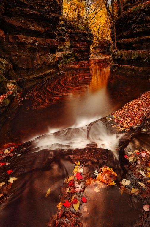 Осенняя природа. Фото: Matt Anderson