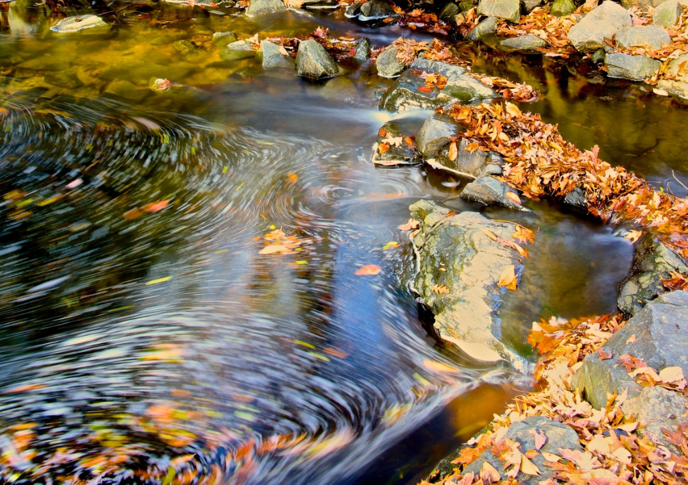 Осенняя природа. Фото: lance bryant
