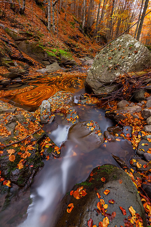 Осенняя природа. Фото: Davide Ferrari