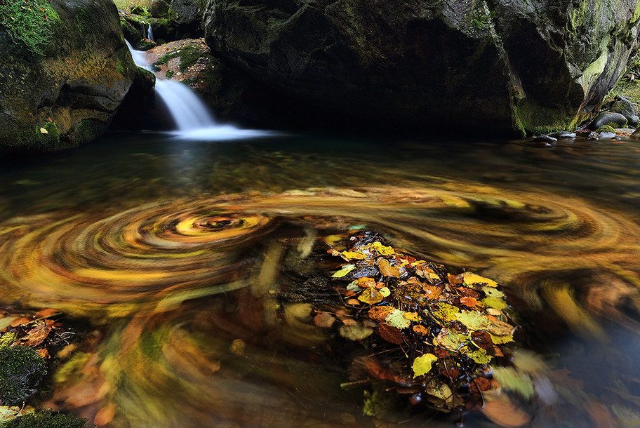 Осенняя природа. Фото: Fabio Vivalda