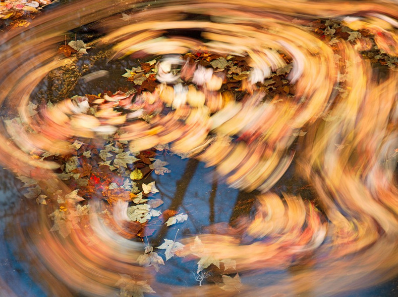 Осенняя природа. Фото: Steven Friedman