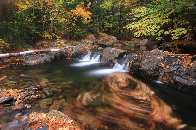 Осенняя природа. Фото: Jim Salge