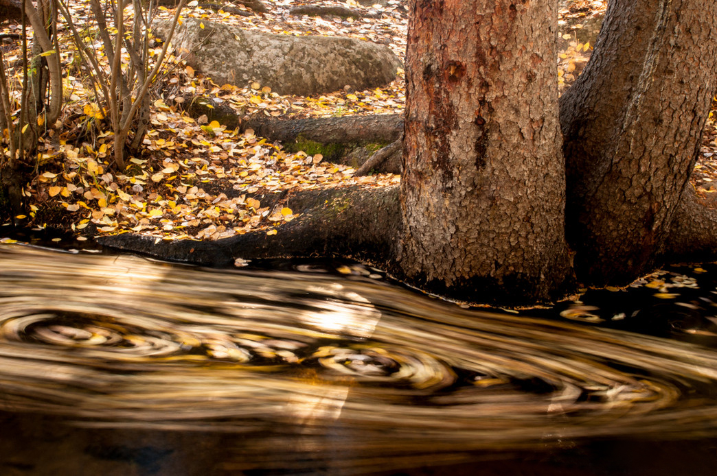Осенняя природа. Фото: Chris D'Ardenne