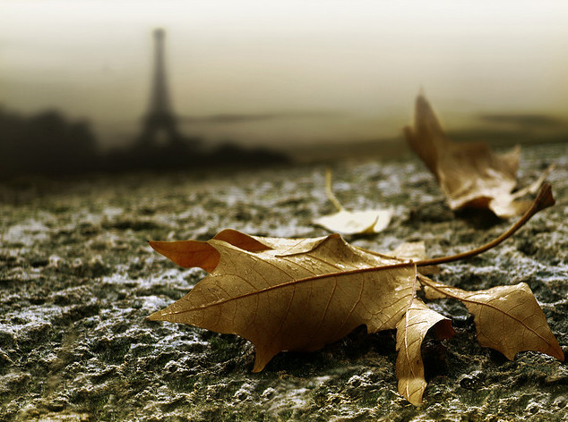 Фото: Inma. Пасмурная осень в Париже
