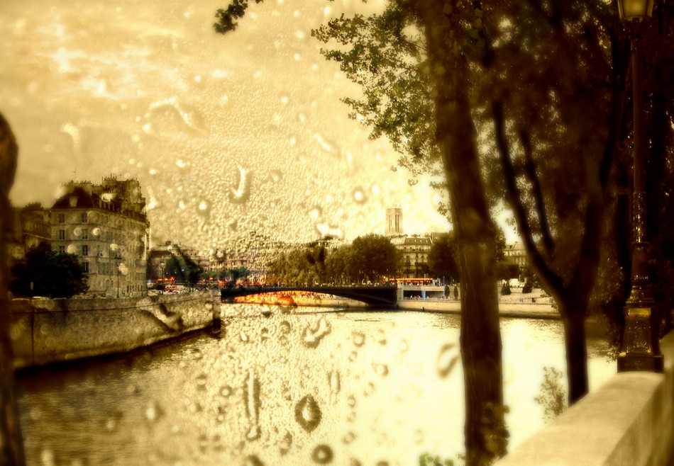  Фото: Debora K. Дождливая погода в Париже