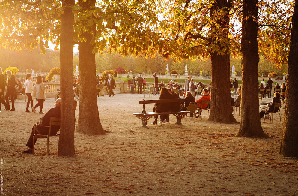 Фото: Amsterdamming. Осеннее созерцание