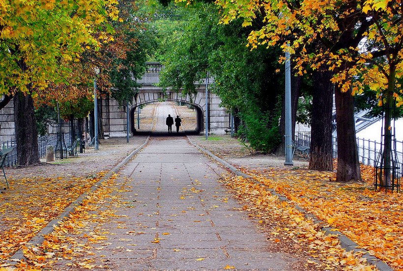 Фото: denismartin. Париж, золотая осень
