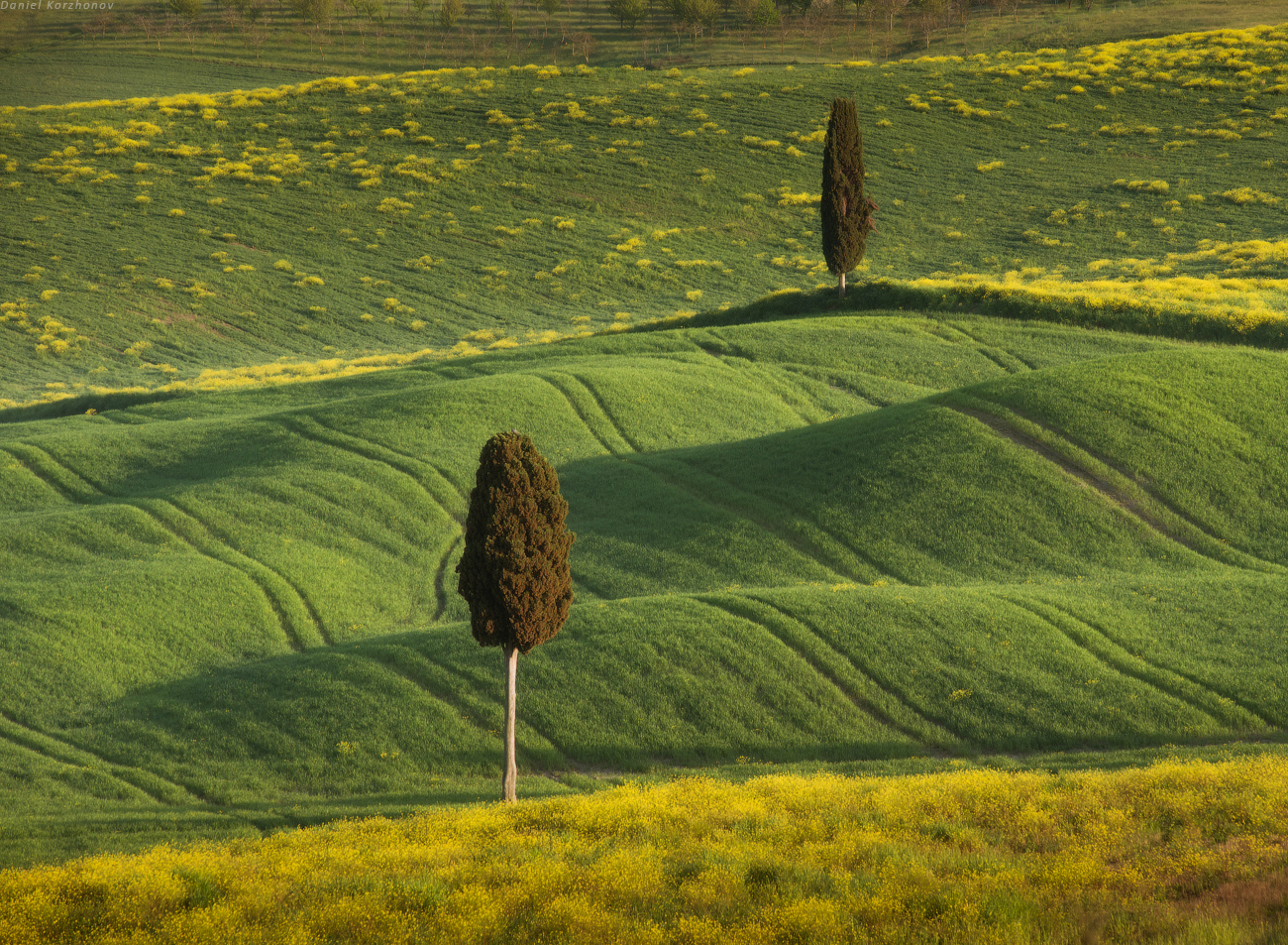 Зеленые поля, вид со стен Пьенцы. Фото Даниила Коржонова