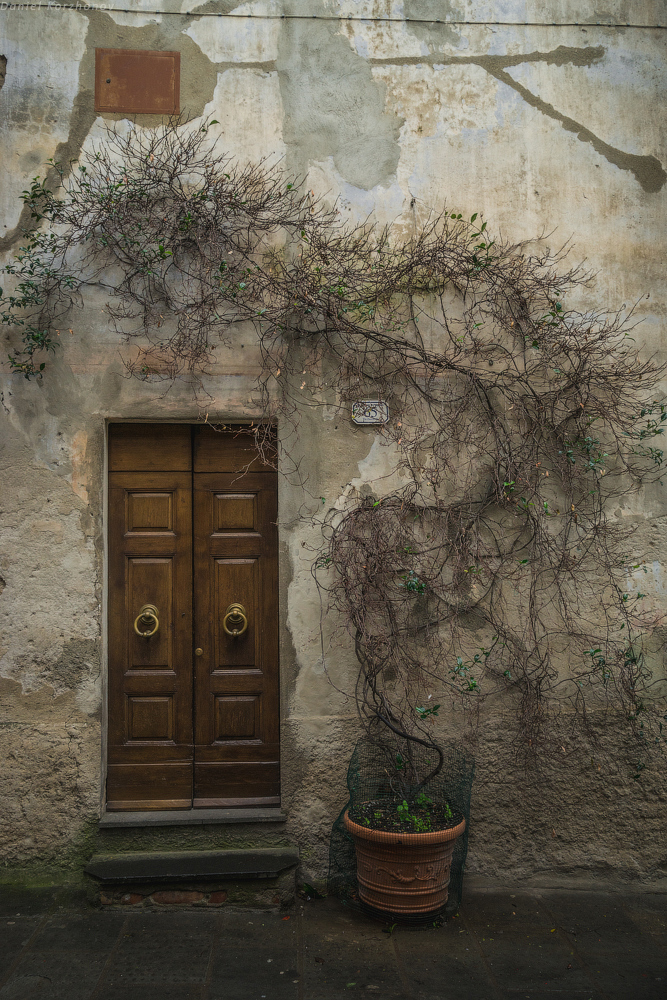 Стена жилого дома в Питильяно. Фото Даниила Коржонова