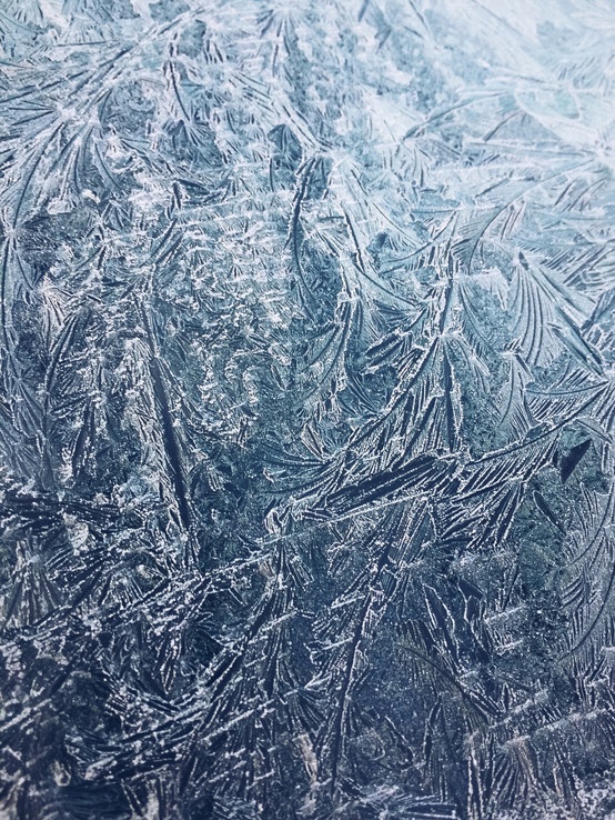 Морозные узоры: 26 фотографий о волшебстве зимы — Российское фото