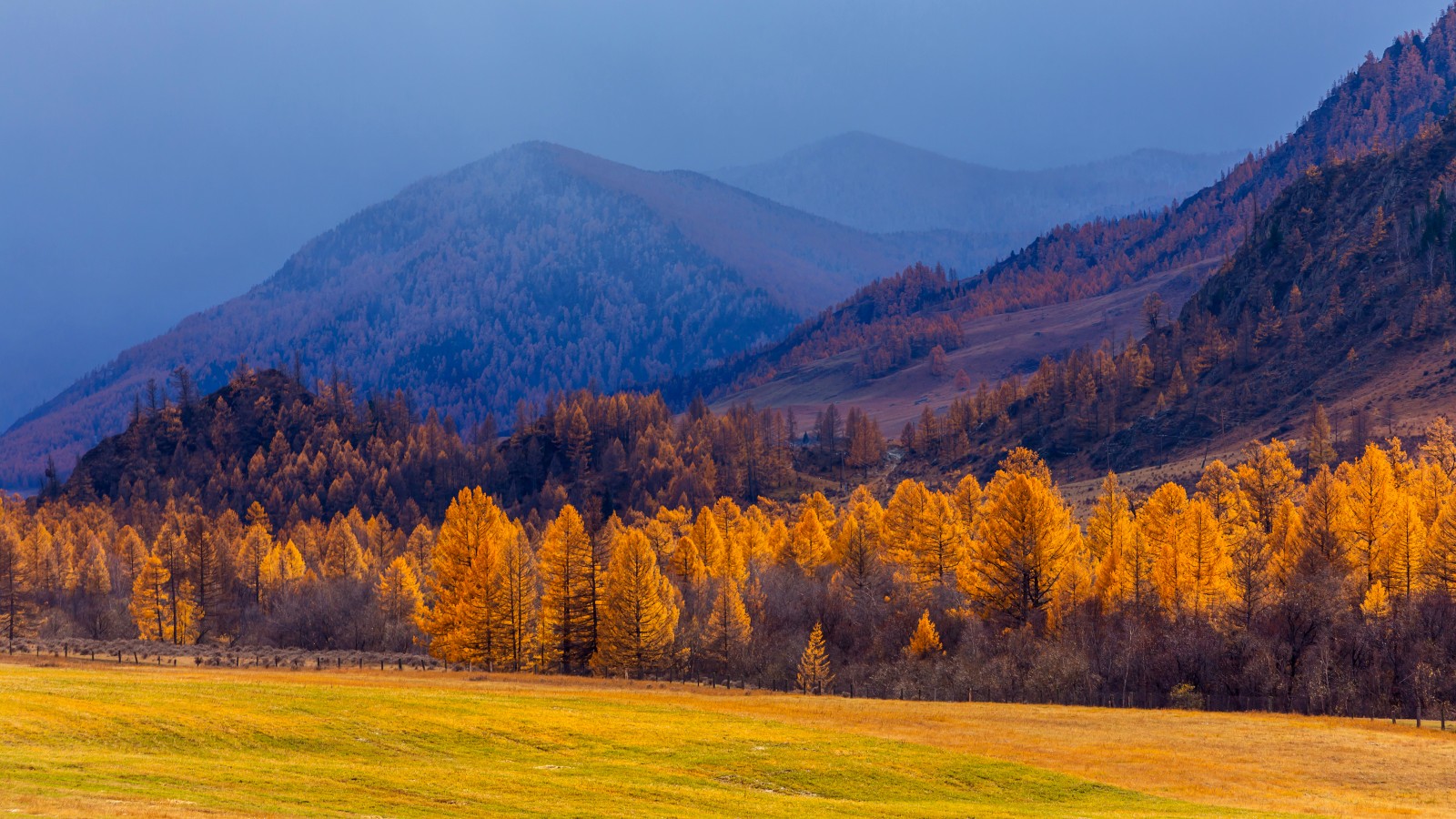 Осенний Алтай: 28 волшебных пейзажей — Российское фото