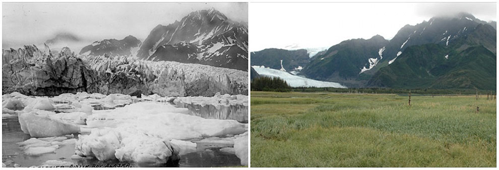 Pedersen Glacier, Alaska. Summer, 1917 — summer, 2005