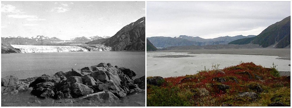 Carroll Glacier, Alaska. August, 1906 — September, 2003