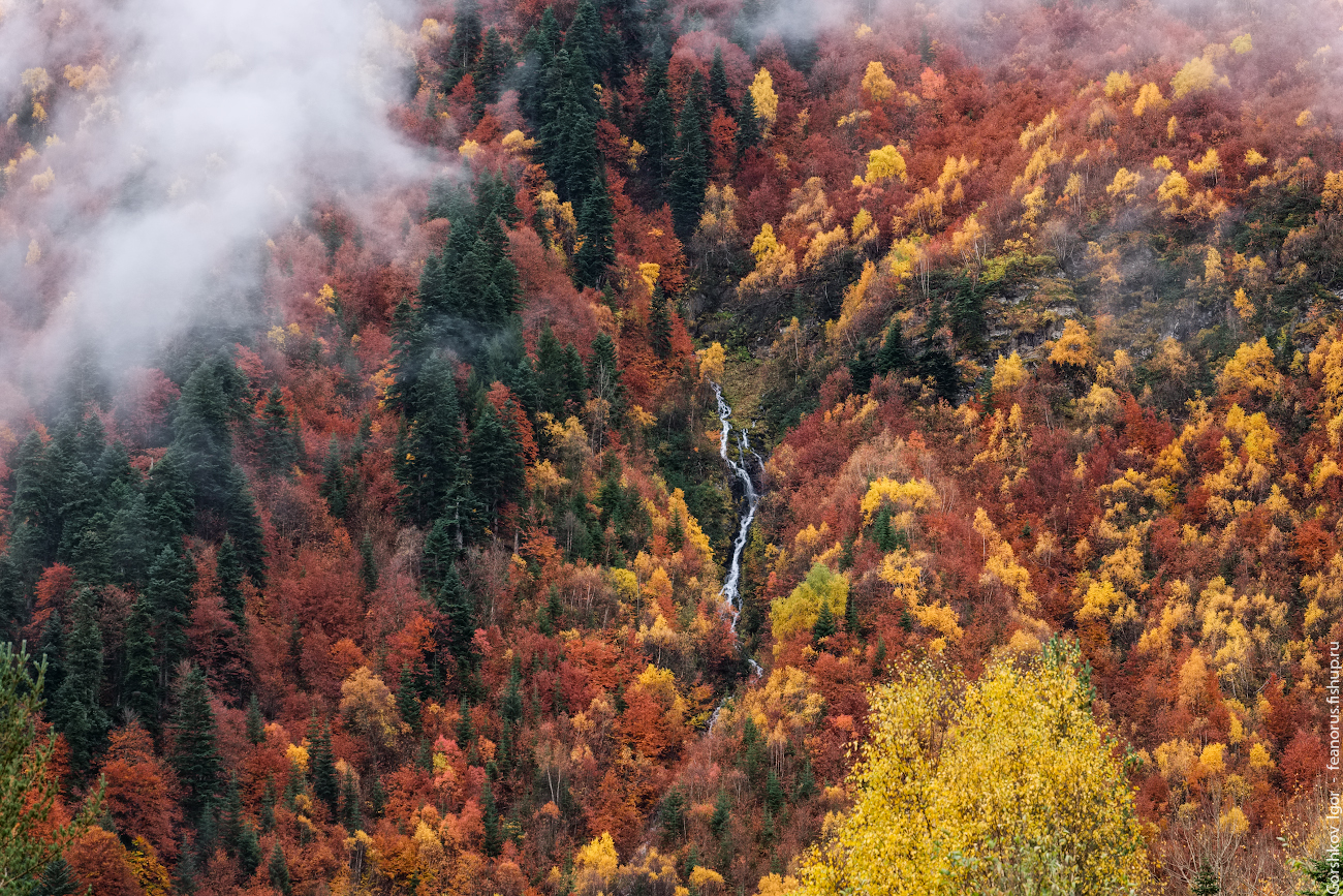 Сочинение Про Осень В Горах
