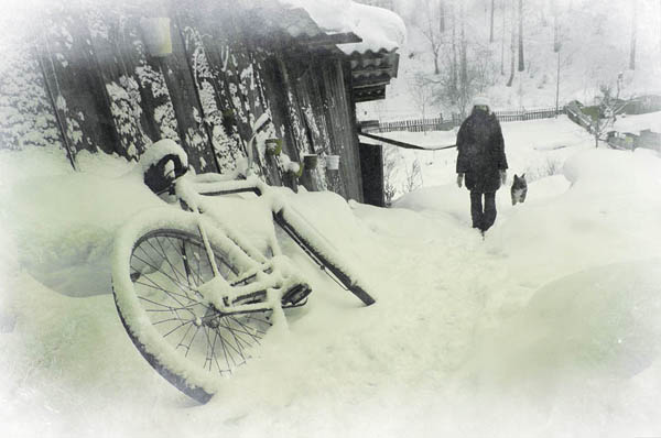 Оксана Зорина