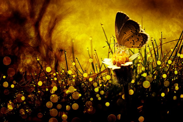 Vaginada porno obektlar Porno kino qizlar sorishni yaxshi koradilar