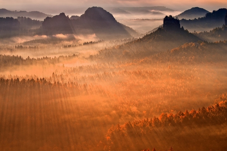 Солнечные лучи над осенним лесом. Фото: Tomas Morkes