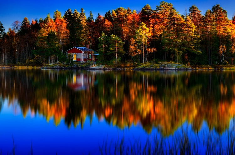Домик в осеннем лесу. Фото: Marek Czaja