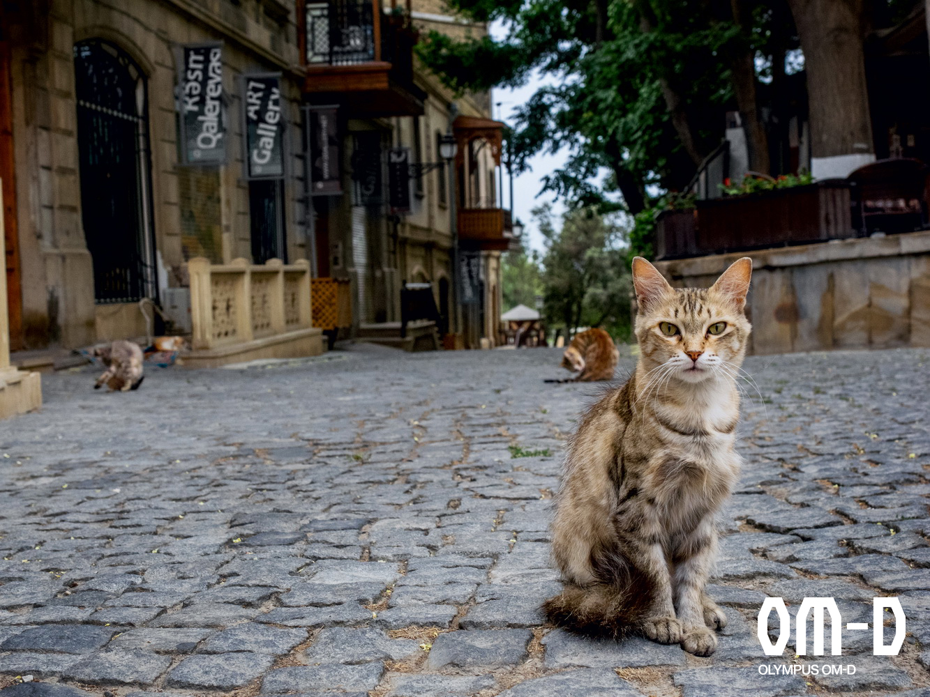 Баку. Тестовые фото Olympus OM-D E-M1. Фото Елены Петровой